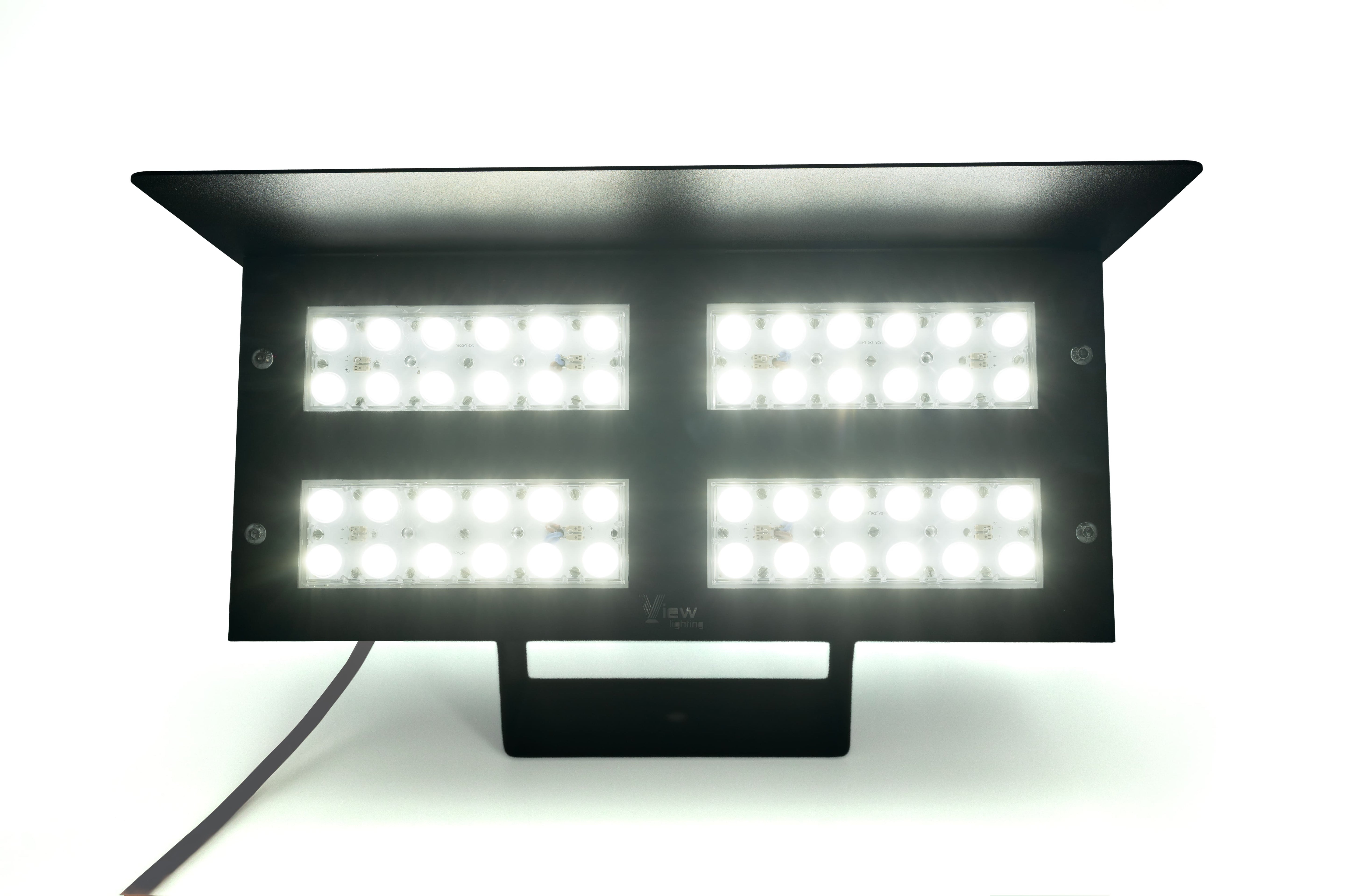 VENUS Flood Light
